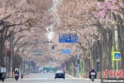 雄安新区共建“花园城市” 北京这场议政会“百花齐放”